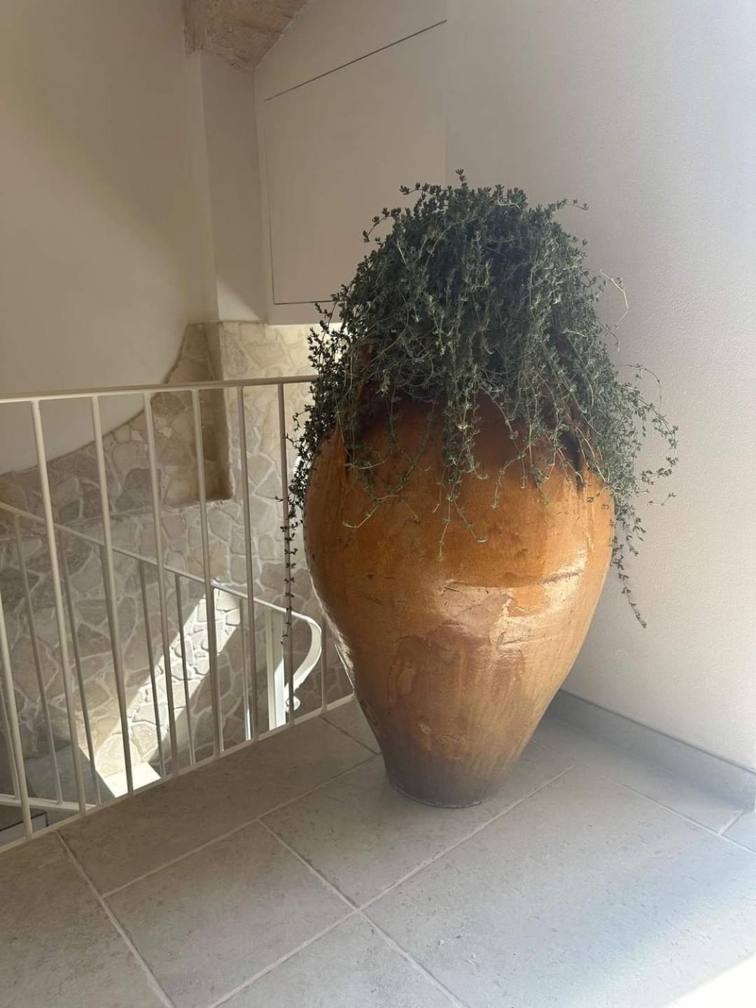 Un Giorno Bellissimo Suite & Spa Martina Franca Zewnętrze zdjęcie